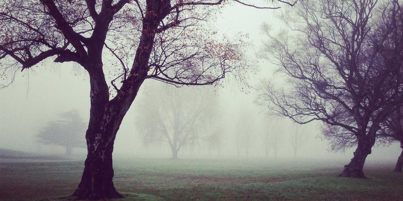 Navigating New York Start8: A Comprehensive Guide for International Students Seeking Immigration Consulting