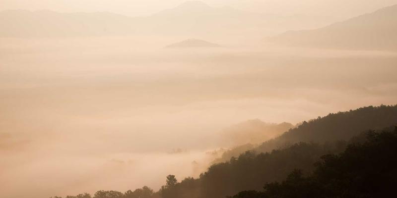 New York Start30: 国际学生与美国移民咨询的全面指南