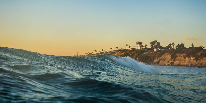 New York Start5：连接美国教育与移民咨询的桥梁，助力成功签证申请