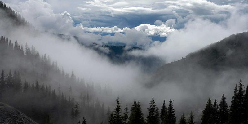 New York Start：国际学生通往美国教育的璀璨门户