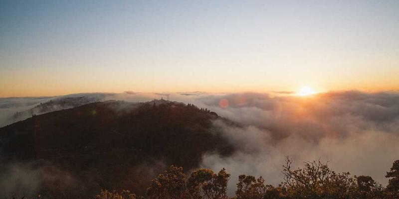 从留学到移民：纽约清洁能源初创公司如何利用州政府激励政策部署屋顶太阳能项目