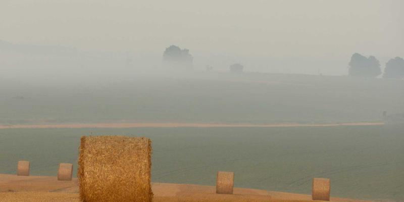 从留学生到绿色先锋：国际学生如何通过美国教育切入纽约清洁能源赛道