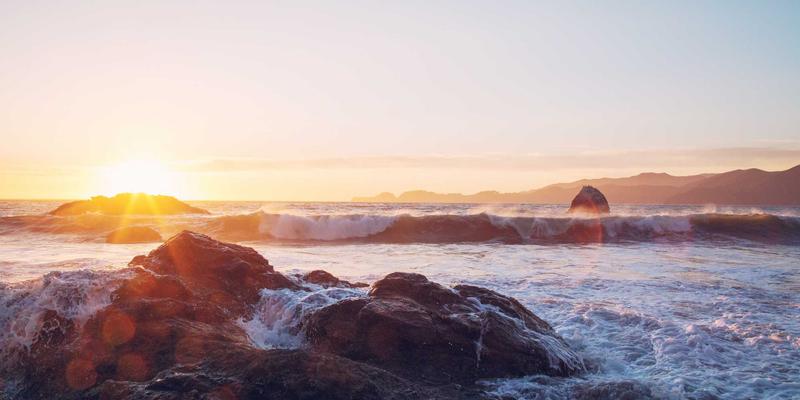 国际学生创业指南：纽约食品饮料初创企业如何攻克FDA与州卫生检查，兼顾学业与签证