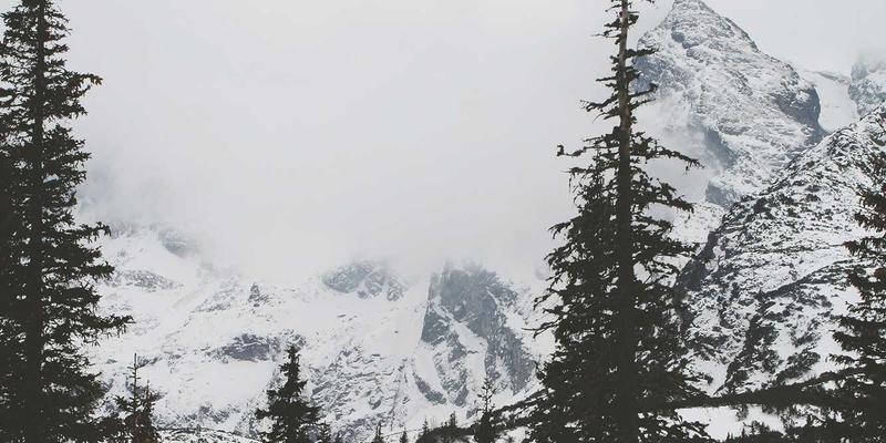 国际学生创始人必读：纽约初创公司董事会构建、控制权设置与签证策略