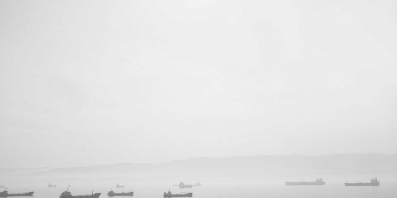 国际学生如何通过美国教育与移民咨询，助力纽约初创企业构建弹性供应链