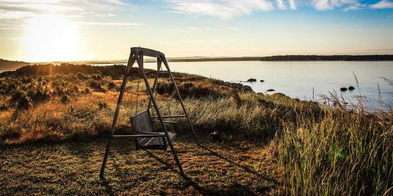 留学美国新机遇：纽约州与纽约市少数族裔及女性创始人创业补助计划详解