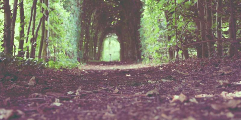 纽约初创企业如何为国际团队设计股权激励：聚焦留学生与海外人才的期权池要点