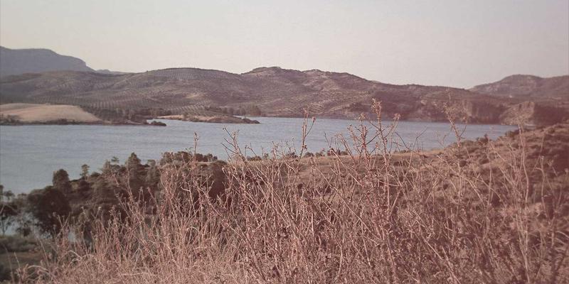 纽约初创企业指南：州与市级商业补助金申请全流程解析 | USA Education & Visa Application