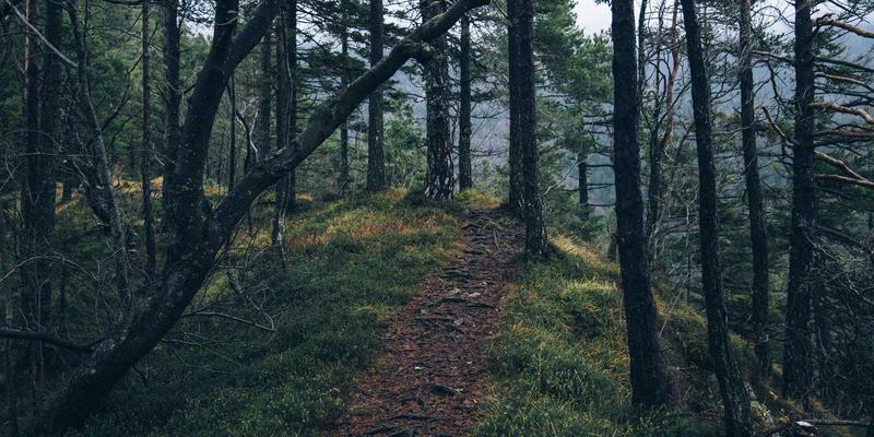 纽约社会影响力初创企业指南：如何通过移民咨询与教育服务创造可衡量的社会效益并吸引使命驱动型投资