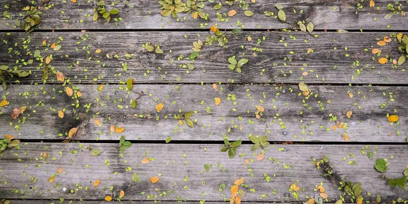 纽约联合办公空间深度测评：最适合国际初创团队与留学背景创业者的五个选择